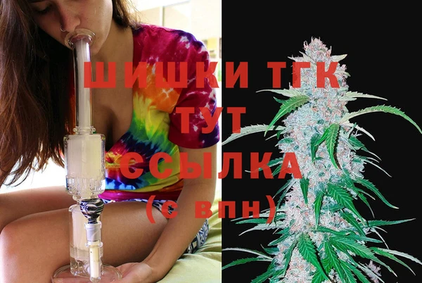 трава Корсаков