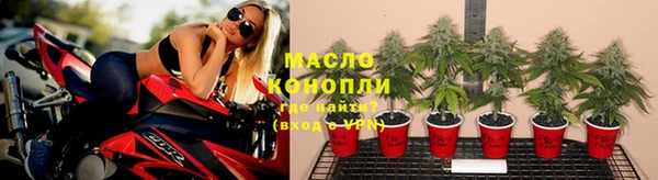 дживик Козельск