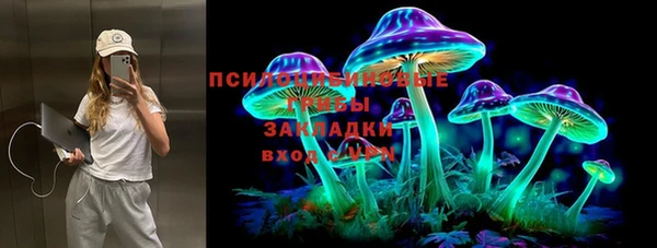 молекула духа Костерёво