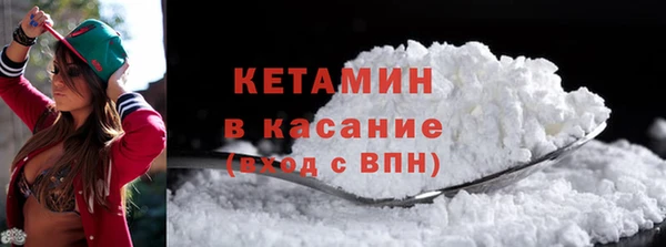 трава Корсаков