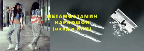 трава Корсаков