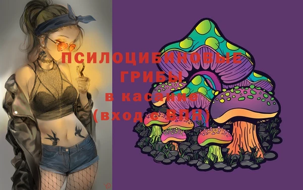 трава Корсаков
