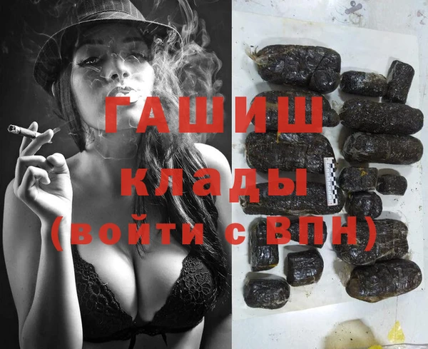 молекула духа Костерёво