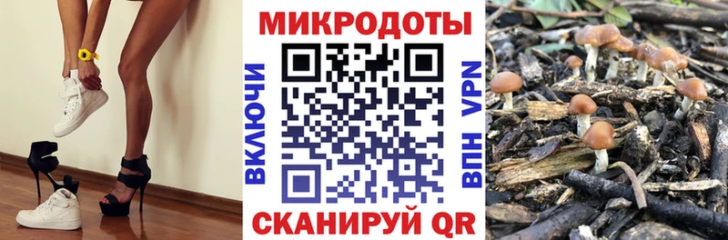 Псилоцибиновые грибы Magic Shrooms  Мураши 
